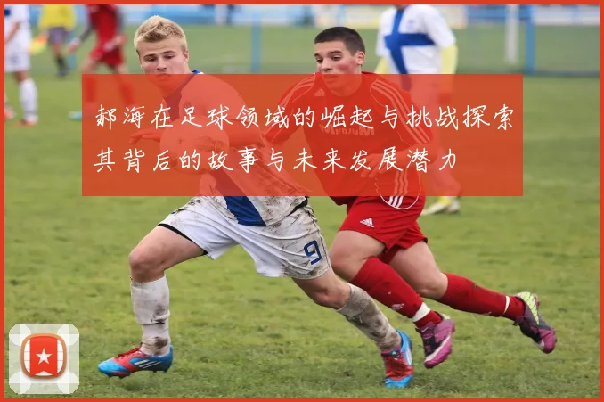郝海在足球领域的崛起与挑战探索其背后的故事与未来发展潜力