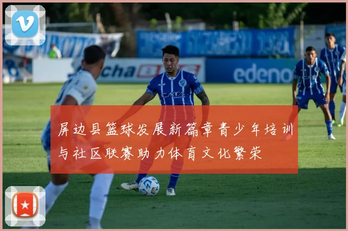 屏边县篮球发展新篇章青少年培训与社区联赛助力体育文化繁荣